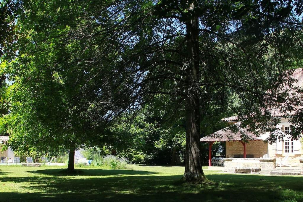 La Chartreuse Maison D Artistes Bergerac Bagian luar foto